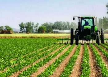 الزام الشركات بتوظيف العراقيين حصراً “لجنة الزراعة النيابية “