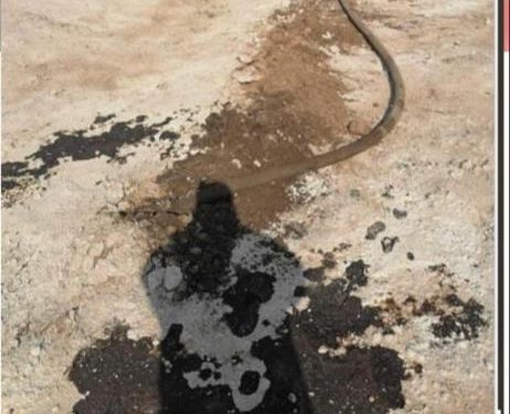 أحباط عملية سرقة النفط الخام في البصرة ,, من قبل مفارز وكالة الاستخبارات