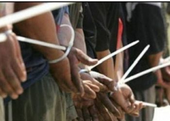 شرطة الديوانية تقبض 14 متهماً بقضايا مختلفة