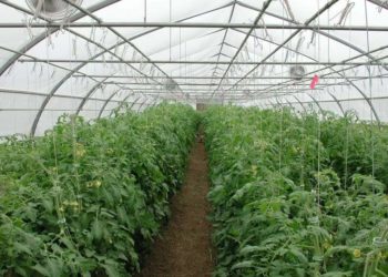 الصناعة تجهز البيوت البلاستيكية