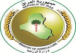 العراق يتلقى عروضا دولية لشراء منتجاته الزراعية