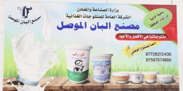 مصنـع ألبـان الموصـل يبدأ بالانتاج