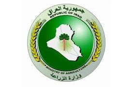 دونم من الأراضي لمن يزرع 500 نخلة أو شجرة مثمرة