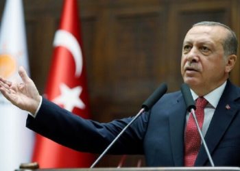 أردوغان ينتقد تصريحات (ماكرون والتصريحات الأمريكية والأوروبية )