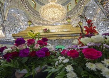 تزييـن ضريح ومرقد الامام الحسين عليه السلام بأكاليل الورود