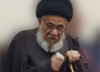 وفاة معتمد المرجعية الدينية في البصرة السيد علي الحكيم الصافي