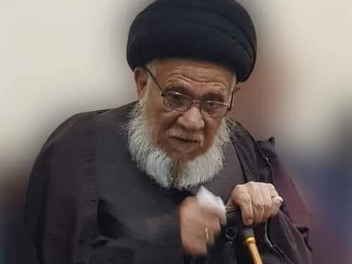 وفاة معتمد المرجعية الدينية في البصرة السيد علي الحكيم الصافي