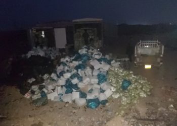 إتلاف أطنان من الخضروات المهرّبة من أجل حماية المنتج العراقي (فيديو)