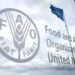 ” فاو ” ارتفاع مؤشر أسعار الغذاء لأعلى مستوى منذ 2014