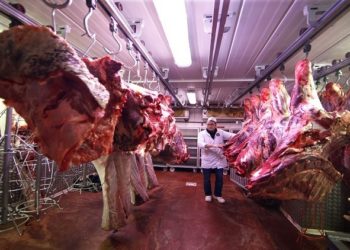 روسيا تعلن حصولها على ترخيص لتصدير لحومها الى العراق