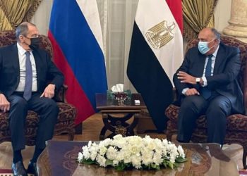 شكري يعلق على سؤال حول عودة سوريا إلى الجامعة العربية