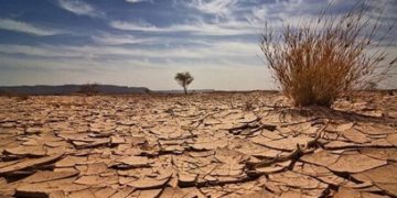 التصحر يزحف على الأراضي الزراعية دون رادع ..(العراق يخسر 100 ألف دونم سنوياً)