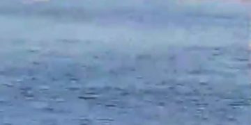 “بسبب رسوبها”.. طالبة مدرسة ترمي نفسها في نهر بابل