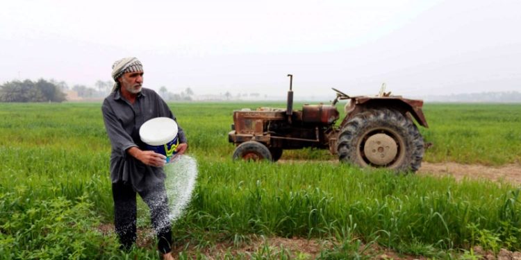 (زرع في العراق) .. مؤتمر لدعم المنتوج المحلي الاسبوع المقبل