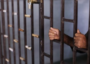 الحكم على مدان بالاعتداء على والده بالحبس 6 أشهر