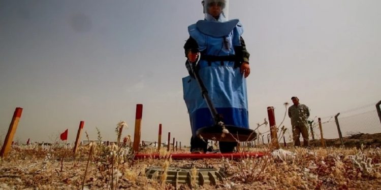 عراقيات يفتشن عن الألغام في حقول البصرة ,,( نتحدى التفجيرات والرجال )