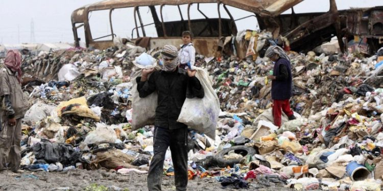 أمين بغداد يتحدث .. نصرف ملايين الدولارات للتخلص منها وهي مفيدة