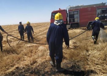 نيران تلتهم ( 5 دوانم ) في حقل حنطة بالأنبار
