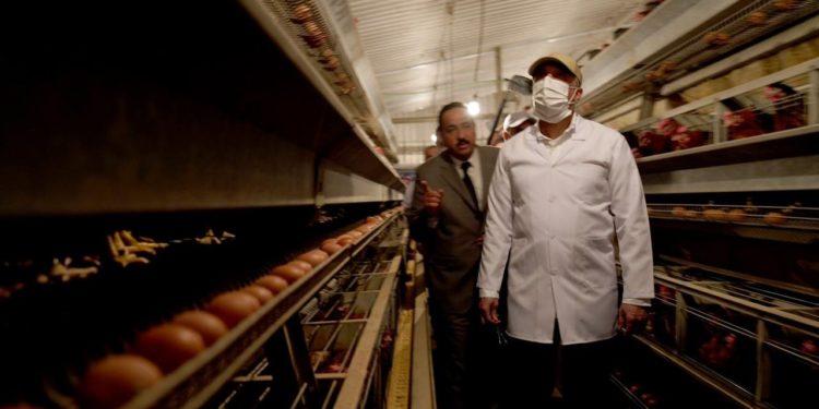 الكاظمي يتفقد عددا من مواقع شركات الإنتاج الزراعي والحيواني في واسط