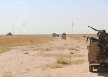 قوة مشتركة تنفذ عملية “دهم وتفتيش” في جزيرة صلاح الدين