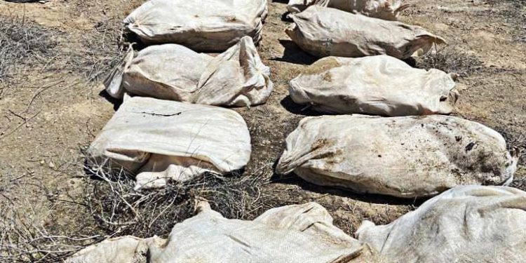 احباط مخططاً لاستهداف بغداد بـ (طن) متفجرات