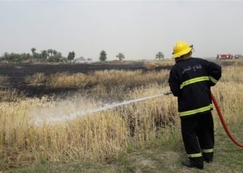 الدفاع المدني تعلن انقاذ (450 دونم ) حنطة في النجف