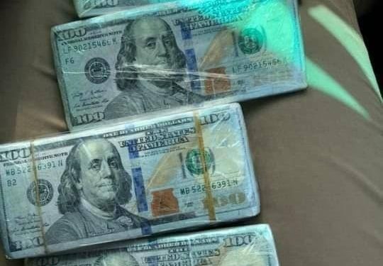 اعتقال محترف تزوير  عملات في المنصور