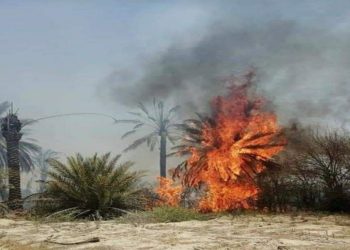 اندلاع حريق “كبير” في بساتين شرق ديالى