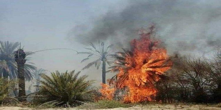 اندلاع حريق “كبير” في بساتين شرق ديالى