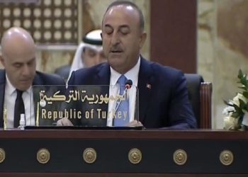 وزير الخارجية التركي .. لا يمكن تحقيق التنمية الاقتصادية دون الأمن