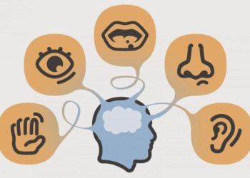 اللغة المادة والادراك