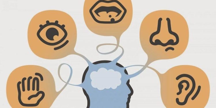 اللغة المادة والادراك