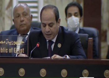 السيسي ..العراق واجه سنوات من الارهاب.. ارتد على الدول المجاورة
