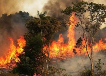 تقرير دولي يكشف عن موقع التغير المناخي الأكبر .. جفاف وحرائق وموجات لهب غير مسبوقة