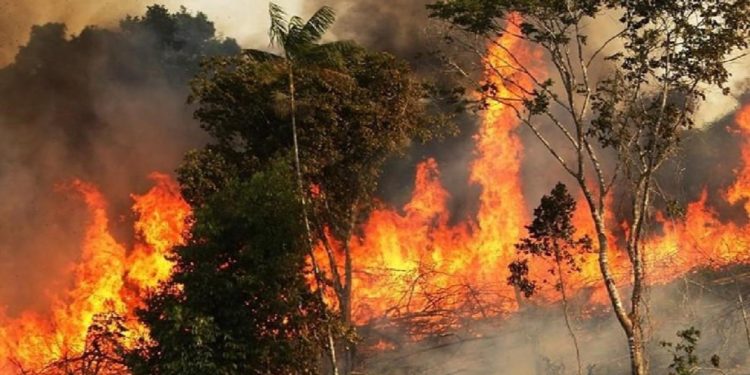 تقرير دولي يكشف عن موقع التغير المناخي الأكبر .. جفاف وحرائق وموجات لهب غير مسبوقة