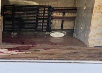 امرأتان تقتلان شخصا بسلاح ناري في مدينة العمارة