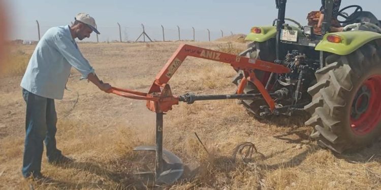 وزارة الزراعة تؤكد متابعة حقول الذرة الصفراء في محافظة واسط والعمل على زيادة انتاج هذا المحصول المهم