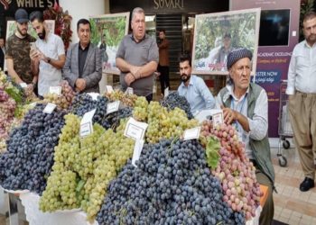 انطلاق (معرض العنب) فــي دهوك والفلاحين يدعون لحماية المنتوج المحلي