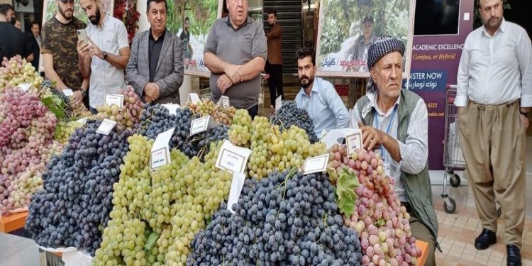 انطلاق (معرض العنب) فــي دهوك والفلاحين يدعون لحماية المنتوج المحلي