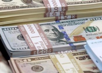 تراجع مبيعات البنك المركزي من العملة الصعبة