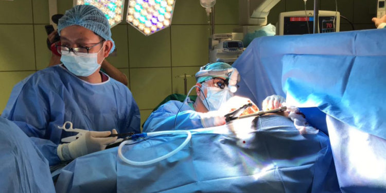 الاعلان عن نجاح زرع كلى الخنزير بجسد بشري