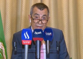 الجامعة العربية .. رصدنا سلاسة عملية الاقتراع والتأمين الكامل للمراكز الانتخابية