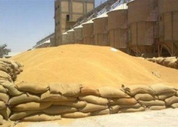 أكبر مطاحن الناصرية الحكومية تتوقف بسبب لجنة التجاوزات