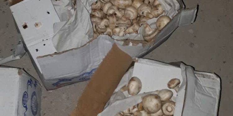 هيأة المنافذ تعيد شاحنتين إلى ايران في منفذ مندلي الحدودي