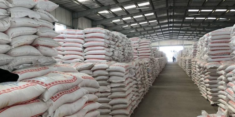 توجيه بإطلاق وجبة جديدة من (مادة الطحين) لمواجهة ارتفاع الأسعار