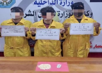 القبض على 3 من مروجي المخدرات في الرمادي