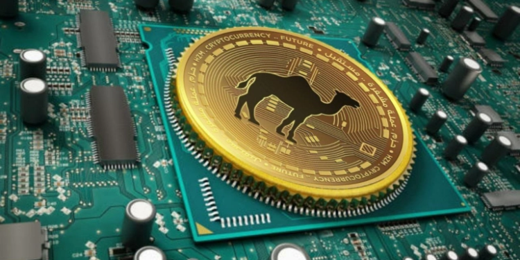 عملة “حزم” الإلكترونية.. بصمات سياسية وهستيريا بعد خسائر ضخمة