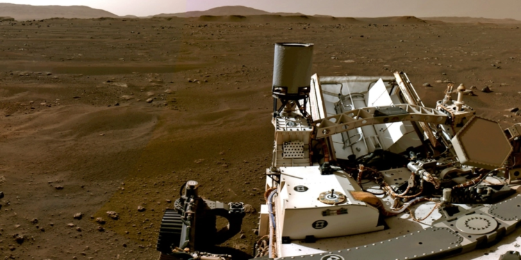 صورة لـ(جذع شجرة) على سطح المريخ  التقطها مسبار الكوكب الأحمر تثيـــر تساؤلات العلماء