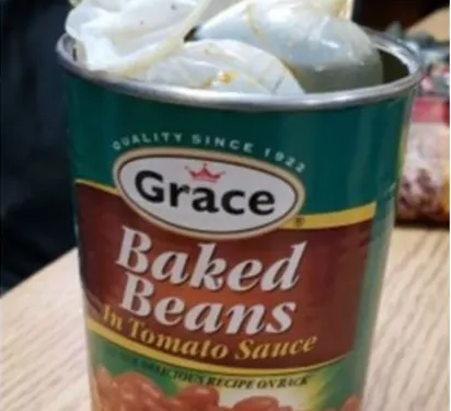 طريقة تهريب لا تخطر على البال