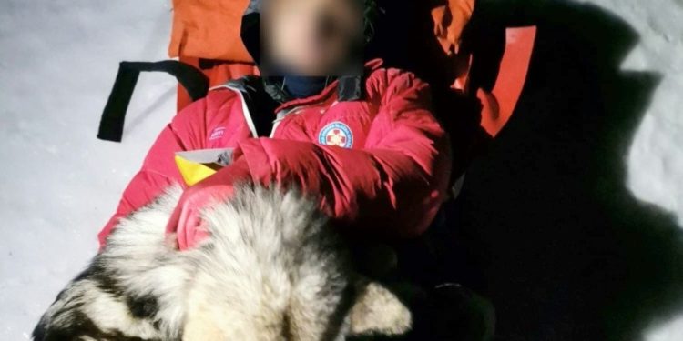 كلب ينقذ رجلا من الموت بعد سقوطه وسط الثلوج ,, (ظل يدفئه بجسمه 13 ساعة)